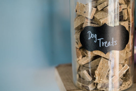 CBD Treats for Pets: The Best Gummies and Chews